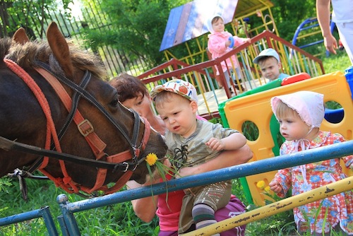 лошадки лошадки